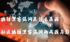 区块链黑客漏洞是什么原因揭秘区块链黑客漏洞